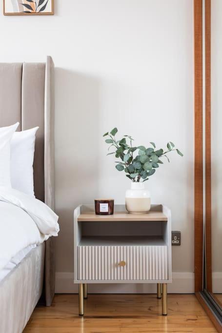 Modern Penthouse Apartment 2 Bed, 2 Bath Sleeps 6 City Centre Belfast Eksteriør billede